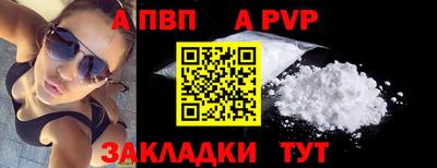 твердый Кингисепп