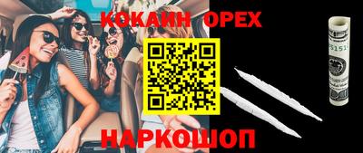 шишки Кимры