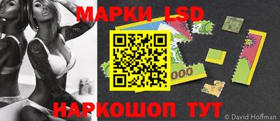 шишки Кимры