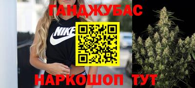 шишки Кимры