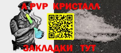 шишки Кимры