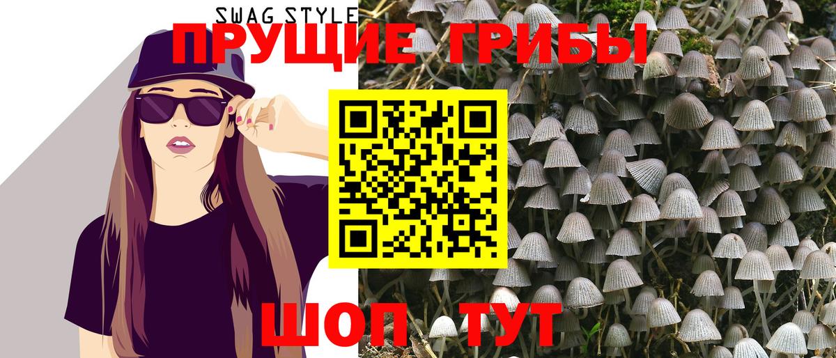 Псилоцибиновые грибы Cubensis  Вход с VPN  Волоколамск 